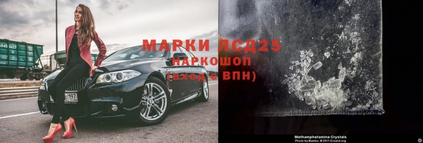стаф Алзамай