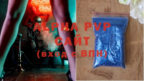 стаф Алзамай