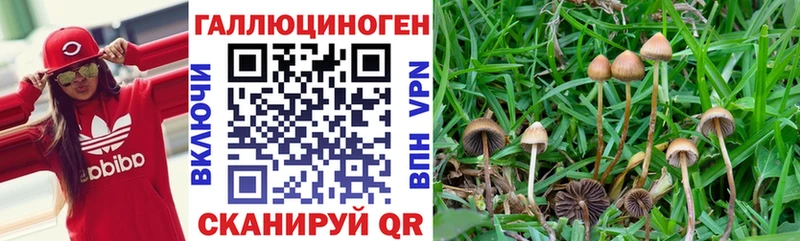 blacksprut онион купить наркотики сайты Амурск Псилоцибиновые грибы мухоморы